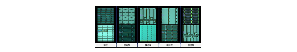 首页- am8亚美集团旗舰厅官网